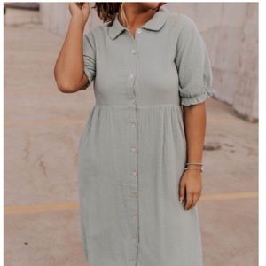 Roolee Collared Dress